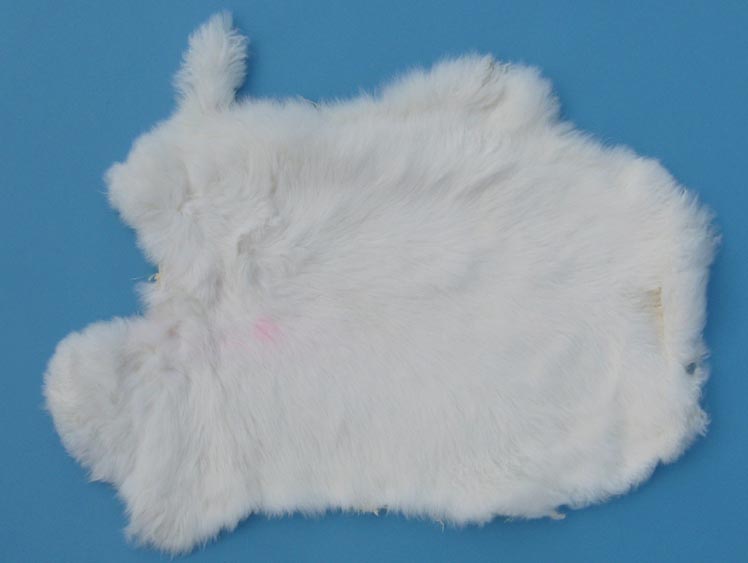 Clipper Rabbit Skin: White 